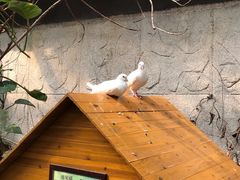 -上海大自然野生昆虫馆(东方明珠·爬宠昆虫探索中心)