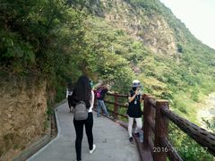 -羚羊峡古栈道森林公园