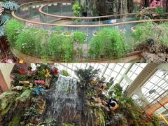 -正佳雨林生态植物园