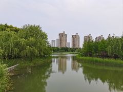 -昆山城市生态森林公园