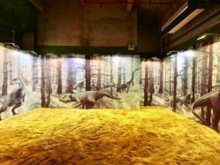 -恐龙探索乐园(磁器口店)