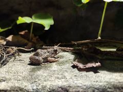 -天赐温泉