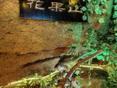 -游龙石文化科普馆