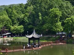 -浮槎山