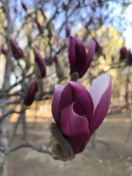 -大望京儿童游乐场