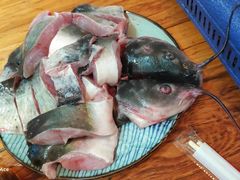 酸汤鱼火锅-猫爷的腔调·黔小馆(交大医学住宅区店)