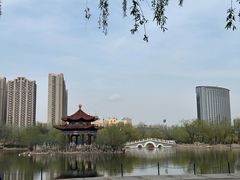 -青城公园
