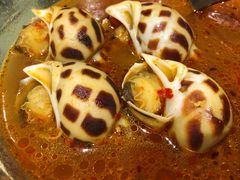 辣酒煮花螺-陶陶居海鲜酒家(新马路店)