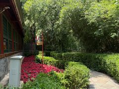 -白家大院·王府宫廷菜(苏州街店)