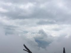 -罗田天堂寨风景区