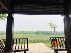 -东郊湿地公园