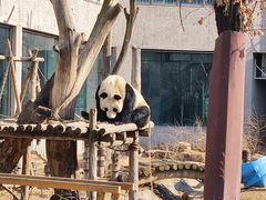 -沈阳森林动物园