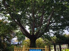 -陈李济中药博物馆