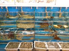 大堂-渔中舟海鲜大排档(普陀沈家门店)
