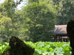 -成都杜甫草堂博物馆