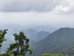 -天目山大树王景区