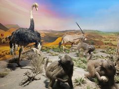 -国家自然博物馆