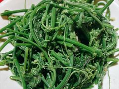 佛手瓜苗-粤北餐馆