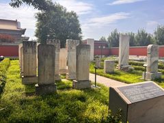 -药王庙(安国市)