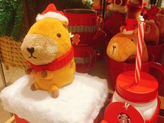 -星巴克臻选(广州太古汇店)