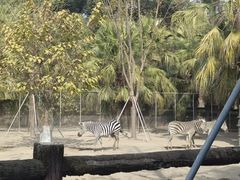 -昆明动物园