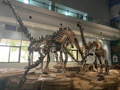 -自贡恐龙博物馆