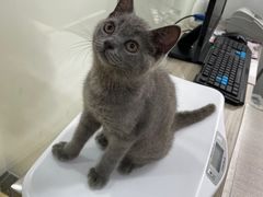 -荔康动物医院(康王北路店)