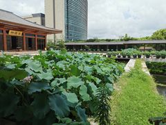 -法华学问寺-停车场