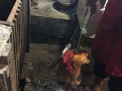 -老幺泉水鸡