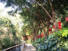 -金鸡山公园