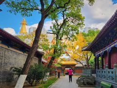 -护国法轮寺