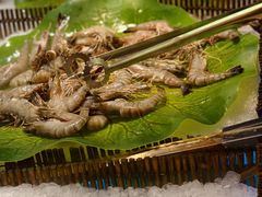 -鼎香缘海鲜自助火锅烤肉(锦辉购物广场店)