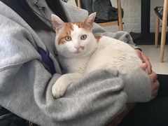 -平行世界·猫咖(首经贸店)