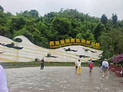 -西双版纳原始森林公园