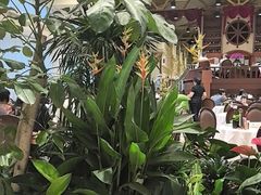-金河半岛园林酒家(金融城店)