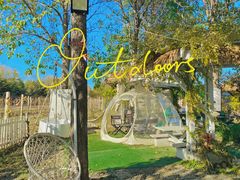 -安德鲁户外烧烤帐篷营地(马泉营店)