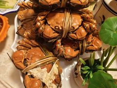 -水岸居湖景农家乐·阳澄湖大闸蟹