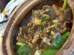 -天宝食坊·啫啫煲大排档(西华路店)