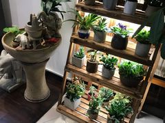 自助取餐区-十二舍·湯物素煮(江泰潤政店)