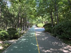 -千佛山风景名胜区