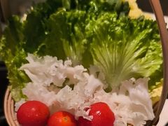 -聚汇坊椰子鸡·山野菌(环市东店)