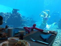 -海棠湾洲际-涛·海底餐厅·美人鱼·自助餐·海底隧道