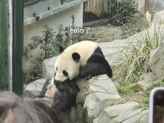 -红山森林动物园