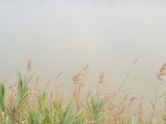 -光明小镇欢乐田园