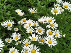 -重庆雨台山风景区