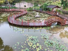 -珠海圆明新园