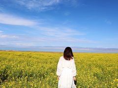 -青海湖国家重点风景名胜区