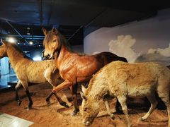-武汉园博园(武汉自然博物馆)