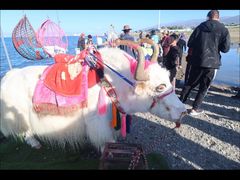 -青海湖国家重点风景名胜区
