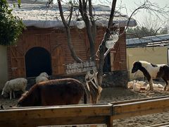 -HERRE·FARM 赫尔露营农场·团建聚会包场